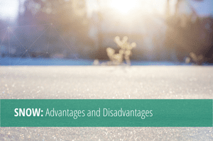 Read more about the article SNOW – Advantages and Disadvantages