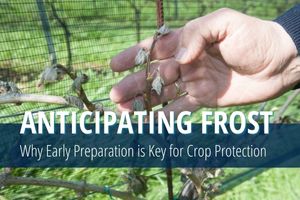 Детальніше про статтю Frost protection with METOS solutions