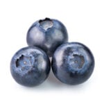 disease models - blueberry