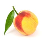 disease models - peach