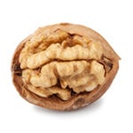 disease models - walnut