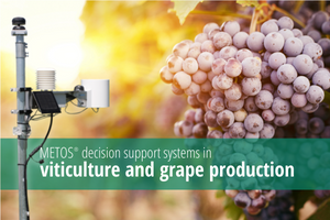 METOS® sistemas de apoio à decisão em viticultura e produção de uva