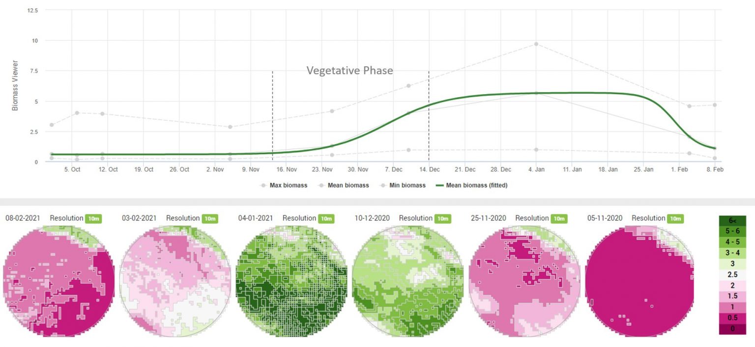 Biomass accumulation over time