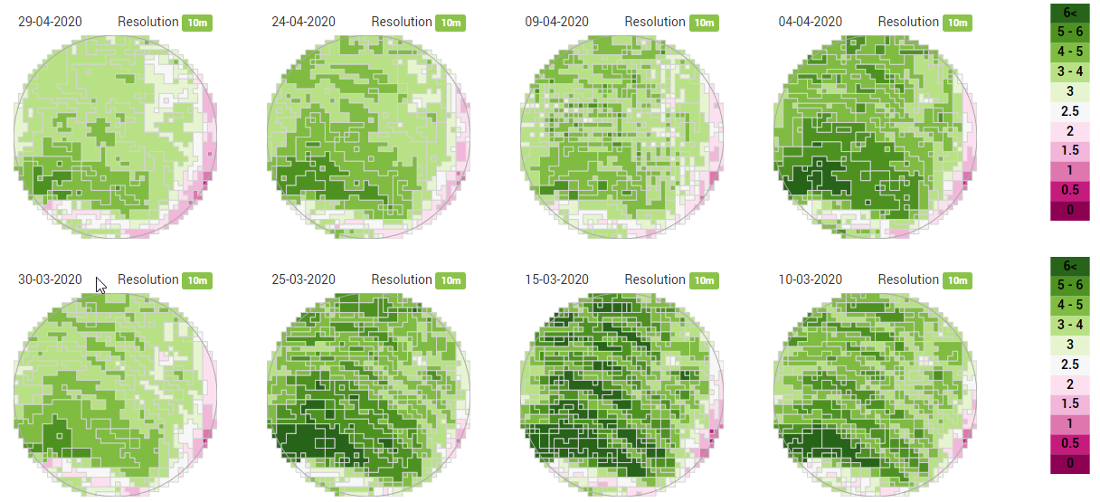 Figure 19: Satellite images captured from a maize crop, with terraced fields