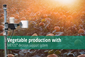 Детальніше про статтю Vegetable production with METOS® Decision Support System
