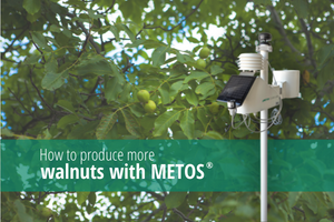 How to produce more walnuts with METOS®