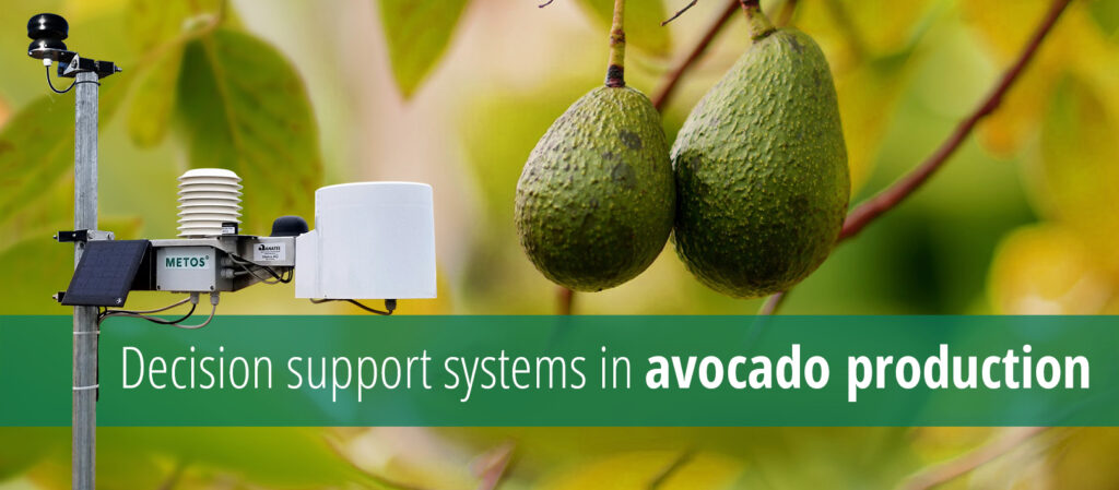 [:en]Decision support systems in Avocado production [:]