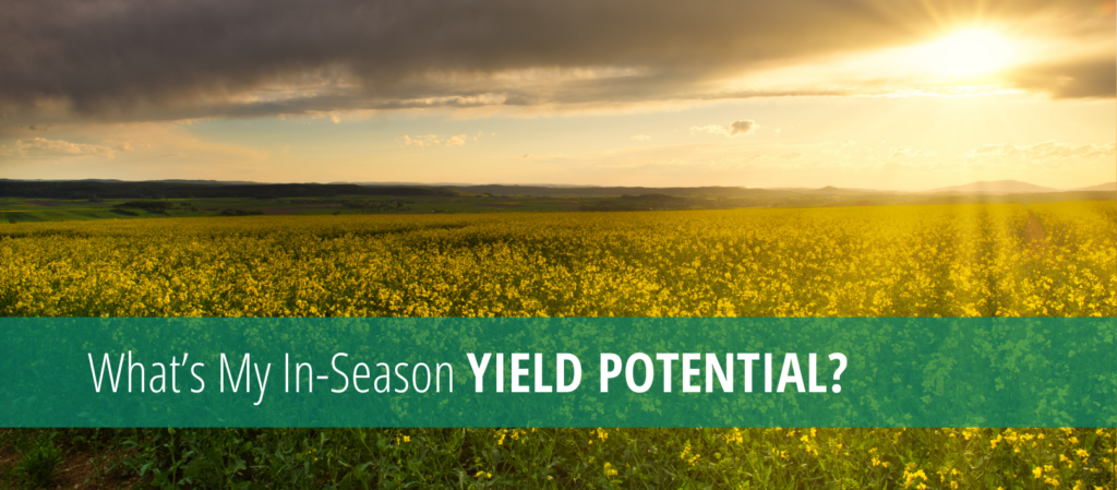 Blog - Farm Weather Talk #007 - Yield Potential_cover
