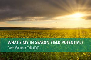 Blogue - Farm Weather Talk #007 - Potencial de rendimento_feature