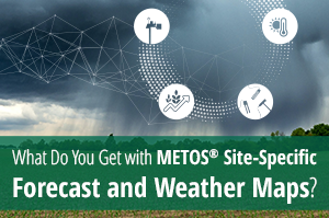 Блог - Что вы получаете с METOS site-specific forecast_feature