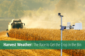 harvest-weather-feature-photo