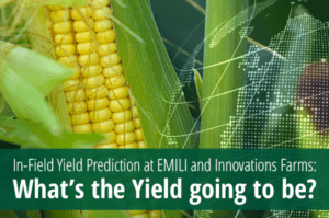 Leia mais sobre o artigo What’s the Yield going to be?