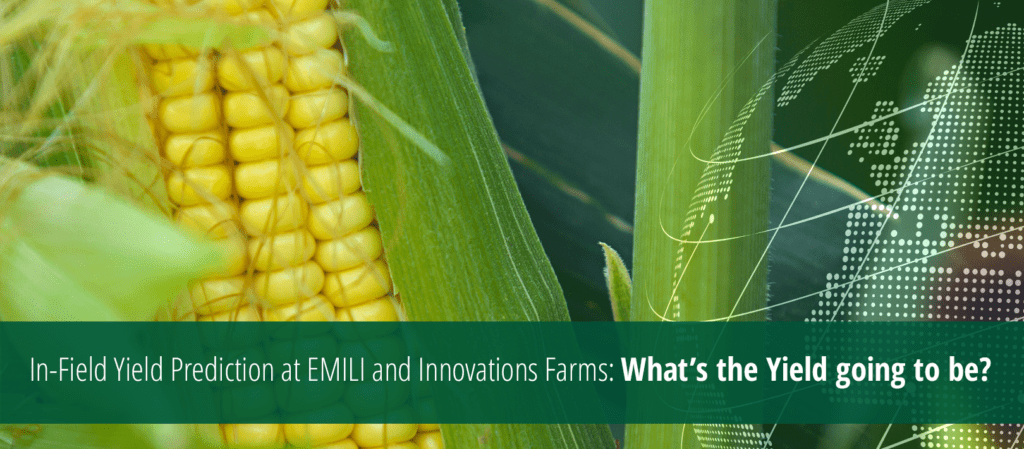 Inovare și securitate alimentară în agricultură - fotografie de copertă