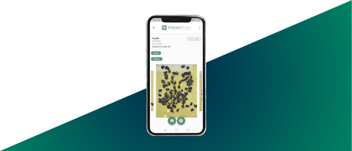 Applications Web et mobiles - iSCOUT Mobile