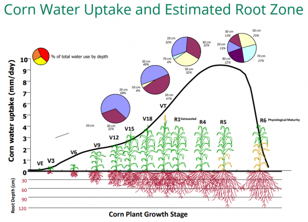 Blog - Umidità del suolo - immagine 9