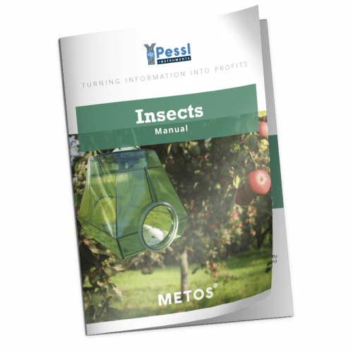 maquete de manual de insectos